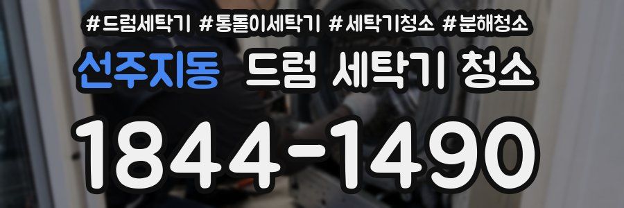 선주지동 드럼 세탁기 청소