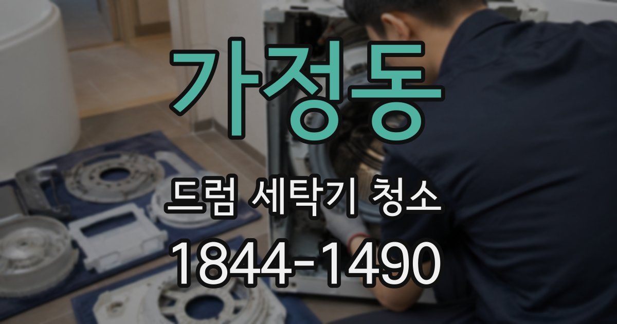 가정동 드럼 세탁기 청소