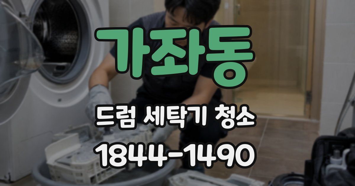 가좌동 드럼 세탁기 청소