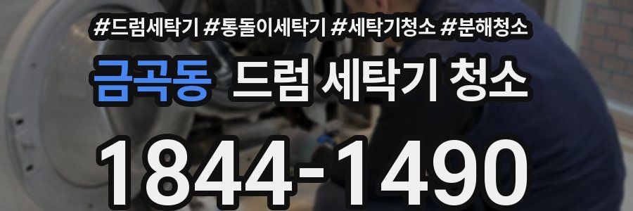 금곡동 드럼 세탁기 청소