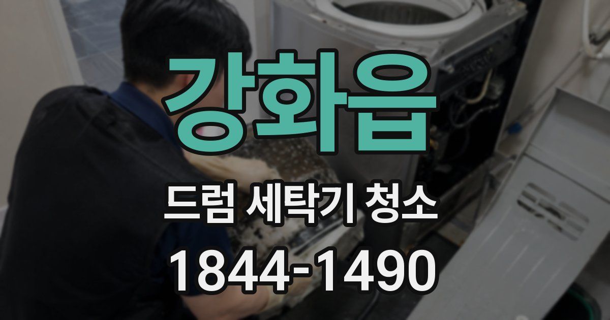 강화읍 드럼 세탁기 청소
