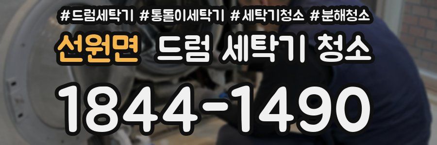 선원면 드럼 세탁기 청소