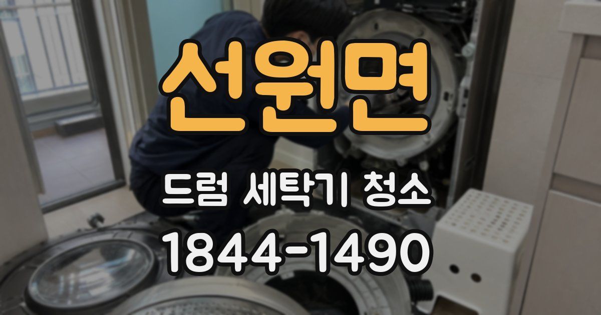 선원면 드럼 세탁기 청소