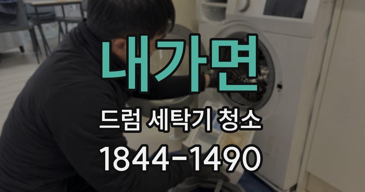 내가면 드럼 세탁기 청소