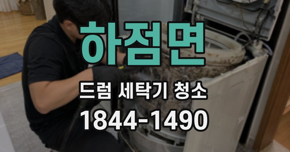 하점면 드럼 세탁기 청소