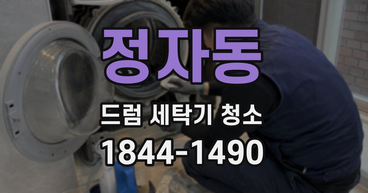 정자동 드럼 세탁기 청소
