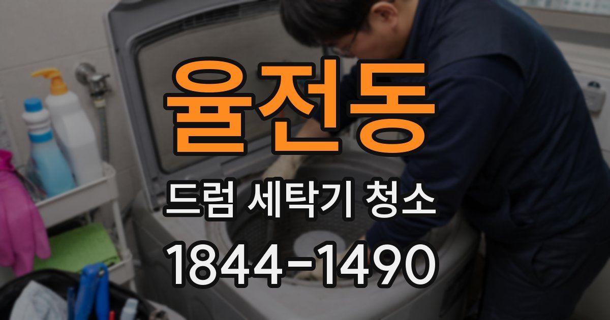 율전동 드럼 세탁기 청소