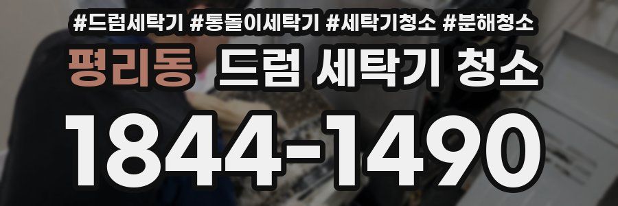 평리동 드럼 세탁기 청소
