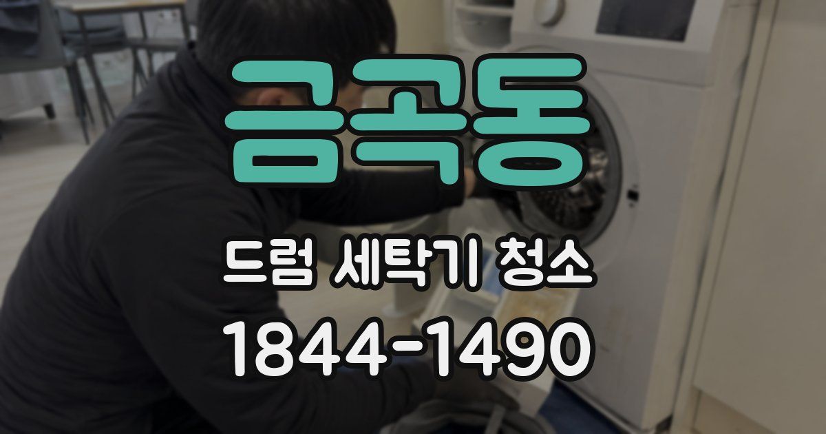 금곡동 드럼 세탁기 청소