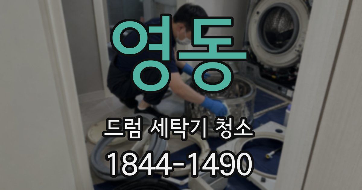 영동 드럼 세탁기 청소