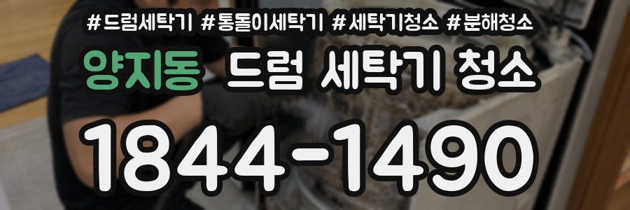 양지동 드럼 세탁기 청소