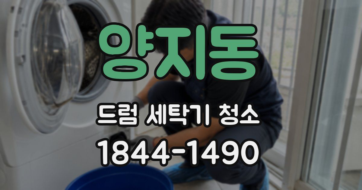 양지동 드럼 세탁기 청소