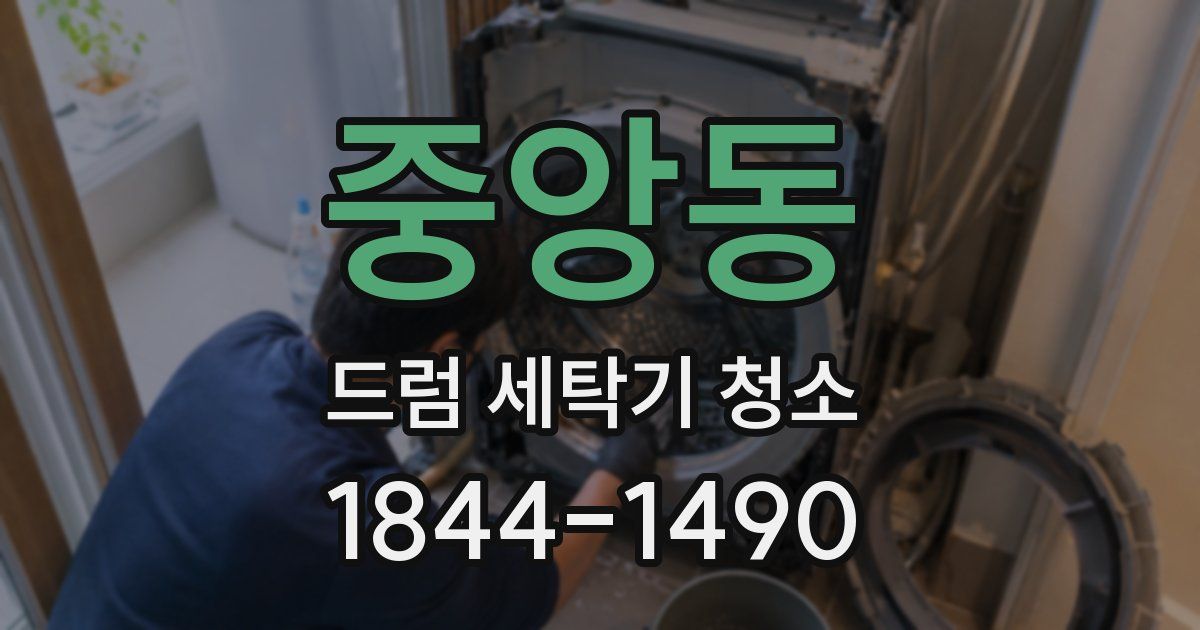 중앙동 드럼 세탁기 청소