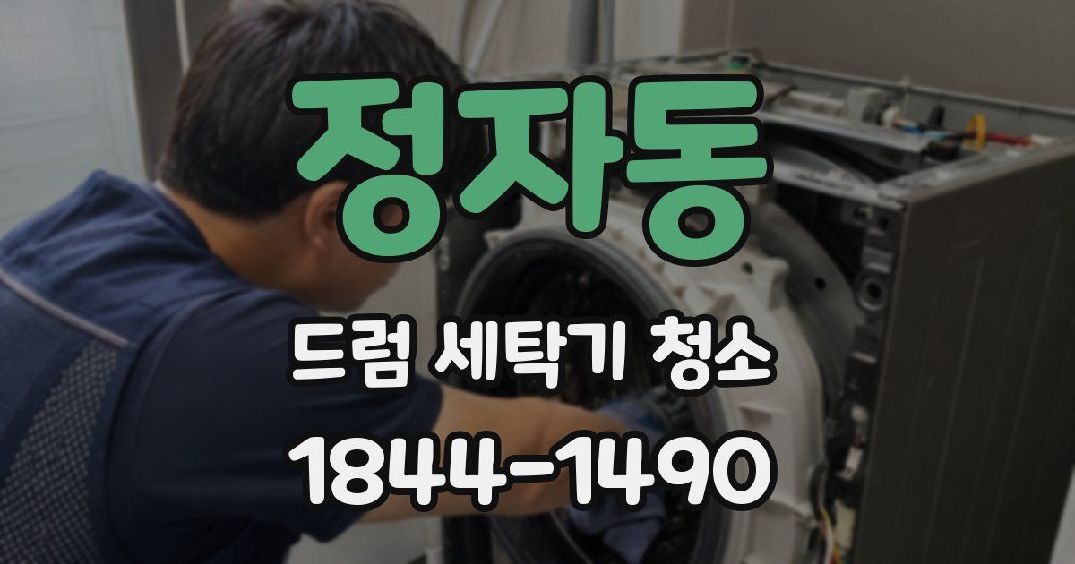 정자동 드럼 세탁기 청소