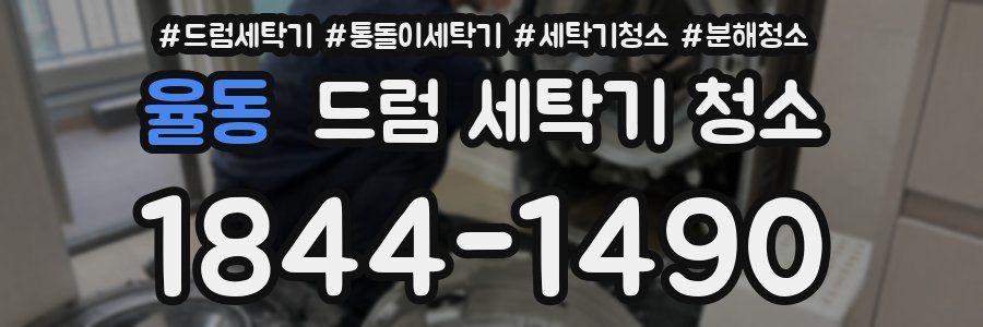 율동 드럼 세탁기 청소