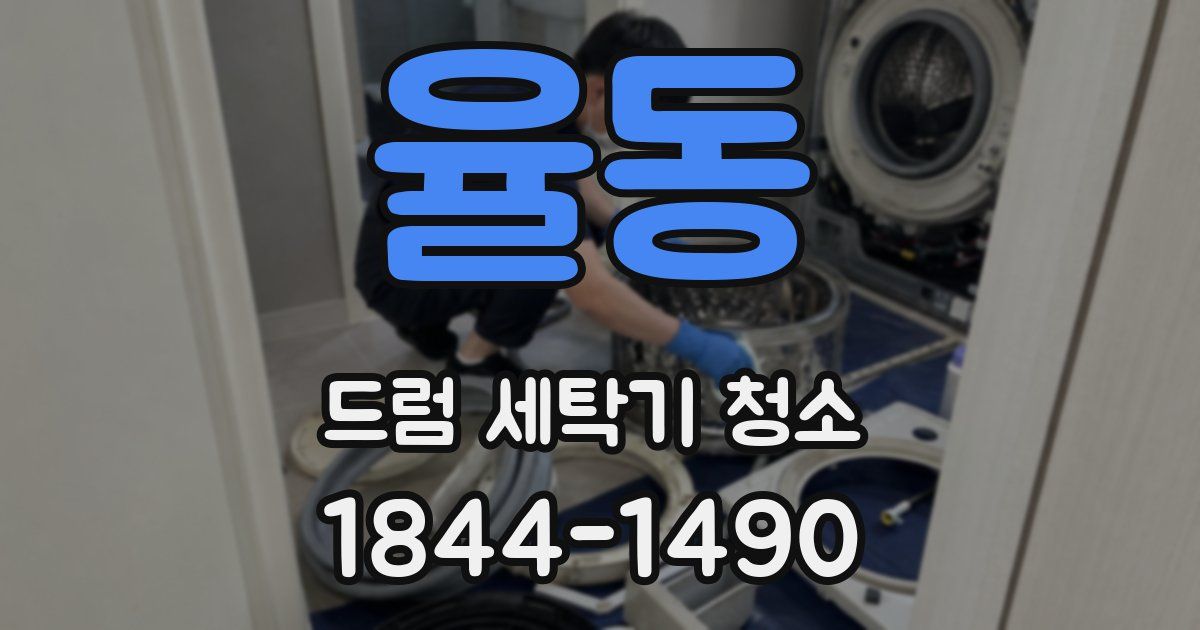 율동 드럼 세탁기 청소