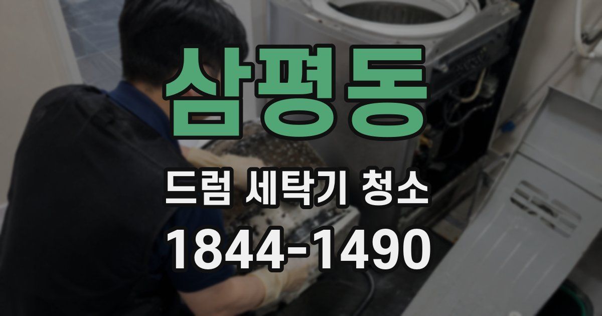 삼평동 드럼 세탁기 청소