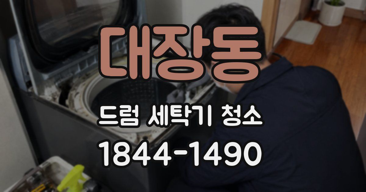 대장동 드럼 세탁기 청소