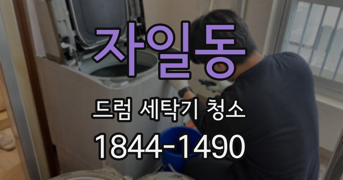 자일동 드럼 세탁기 청소
