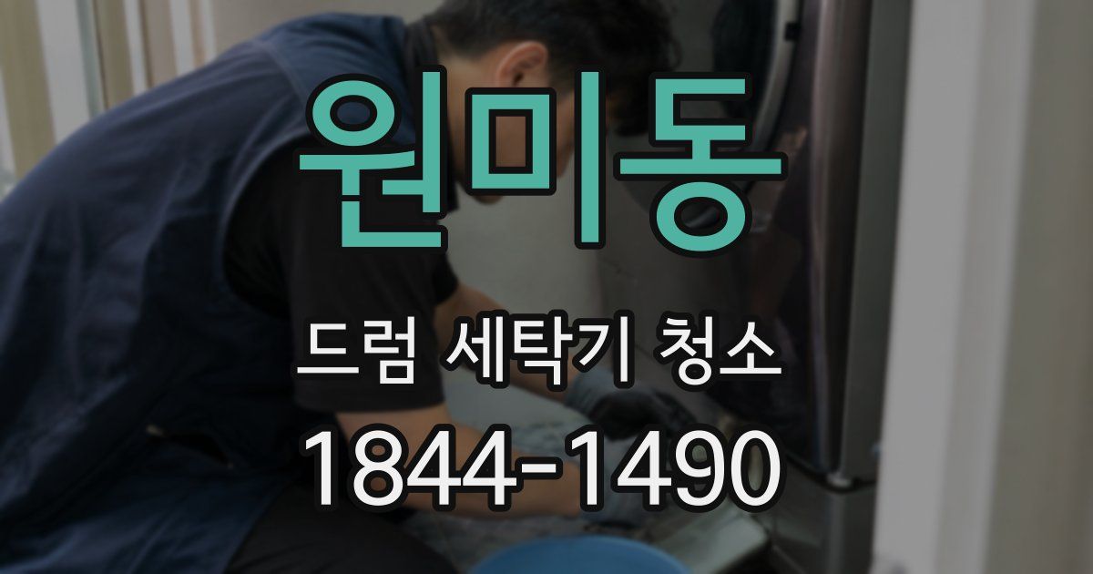 원미동 드럼 세탁기 청소