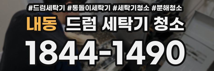 내동 드럼 세탁기 청소