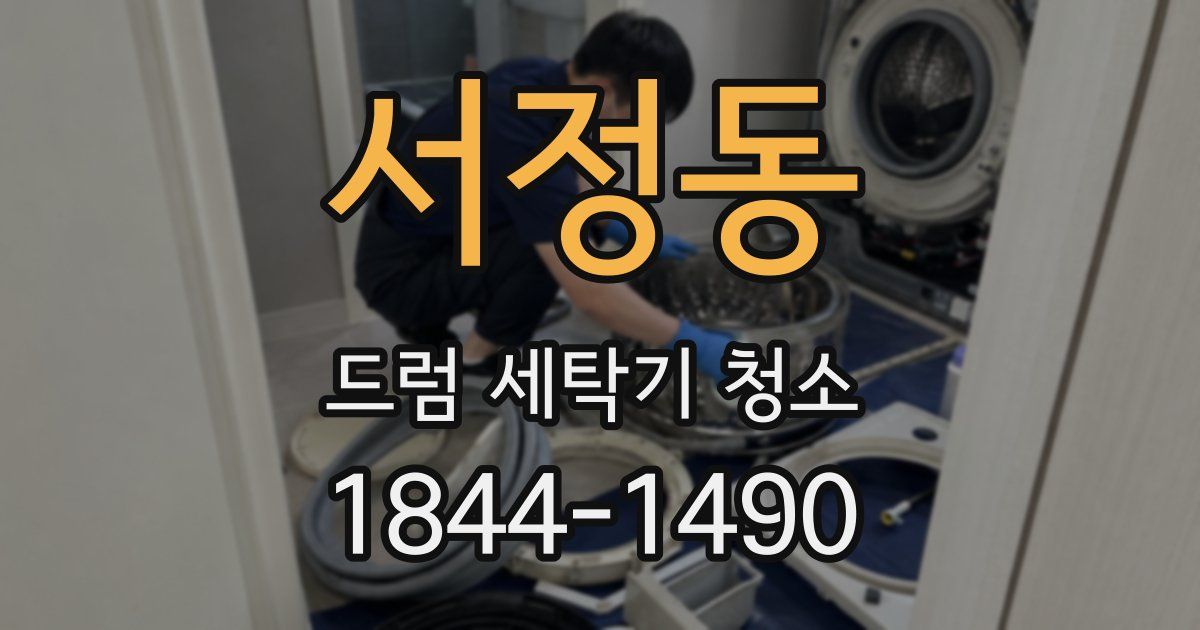 서정동 드럼 세탁기 청소