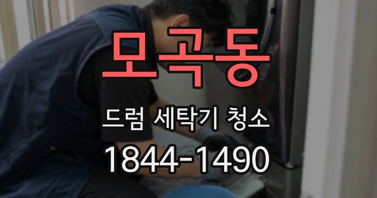 모곡동 드럼 세탁기 청소