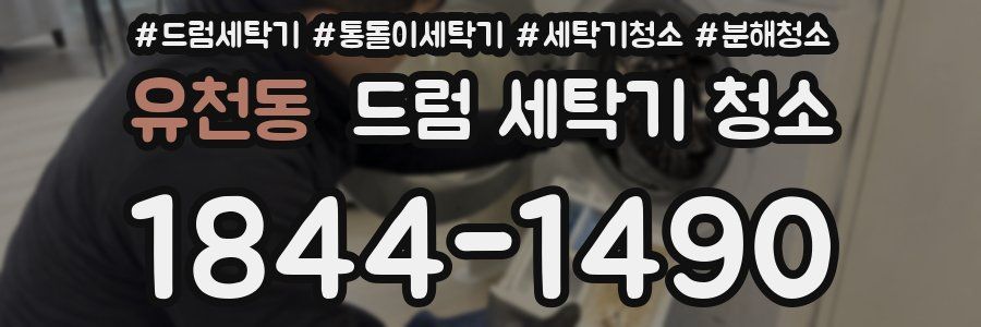유천동 드럼 세탁기 청소