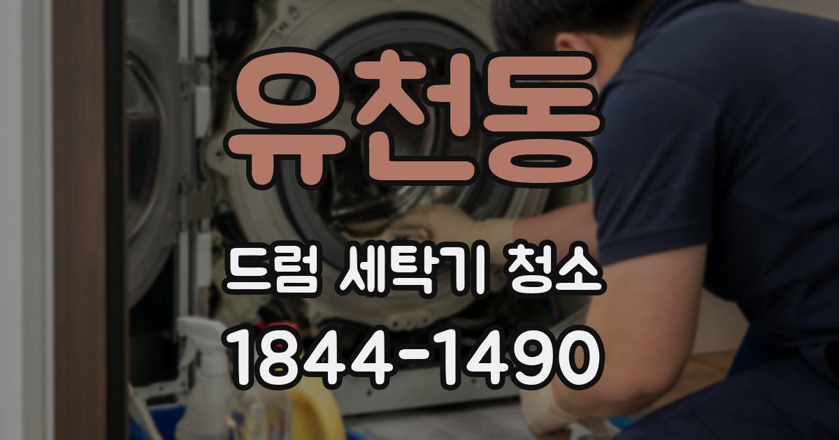 유천동 드럼 세탁기 청소