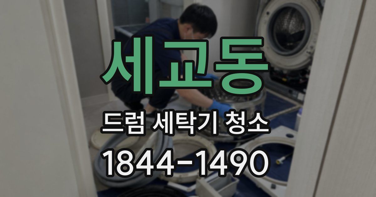 세교동 드럼 세탁기 청소