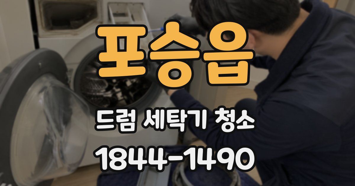 포승읍 드럼 세탁기 청소