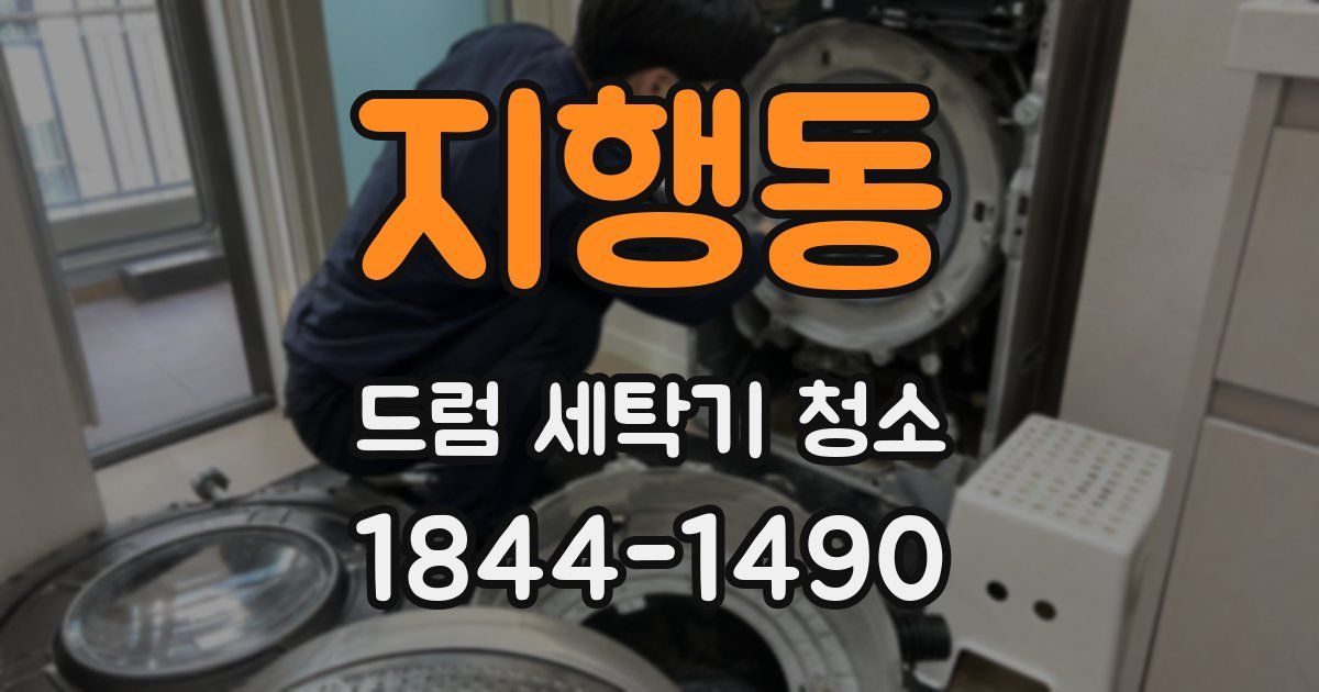 지행동 드럼 세탁기 청소