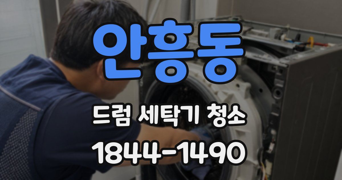 안흥동 드럼 세탁기 청소