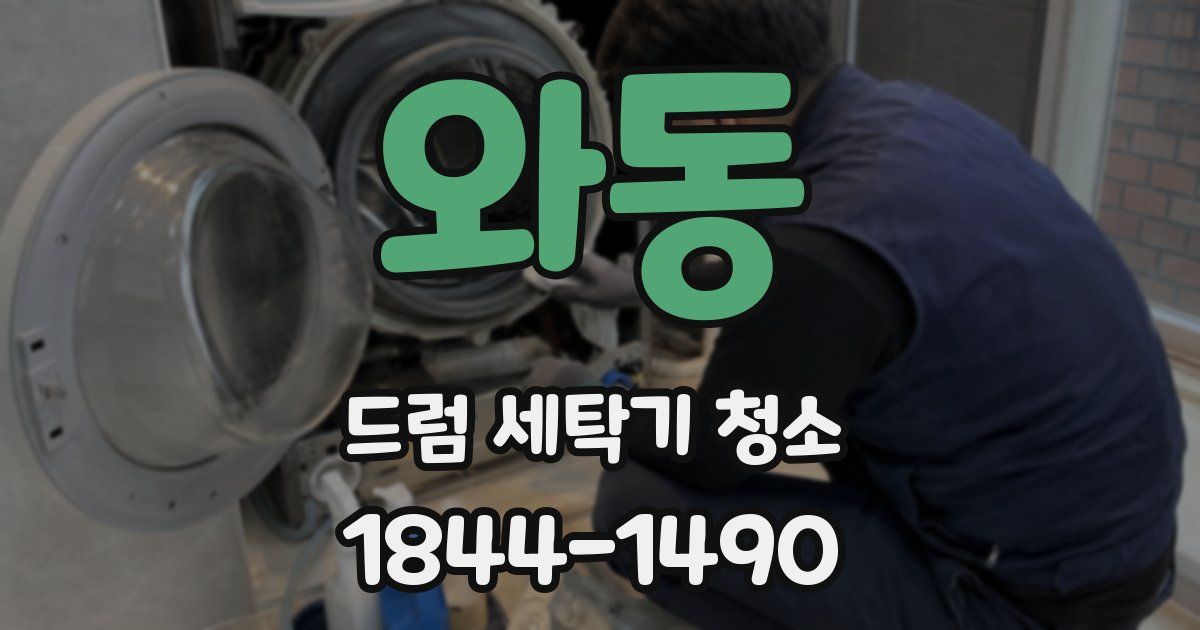 와동 드럼 세탁기 청소