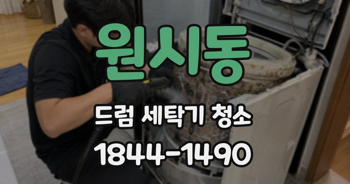 원시동 드럼 세탁기 청소