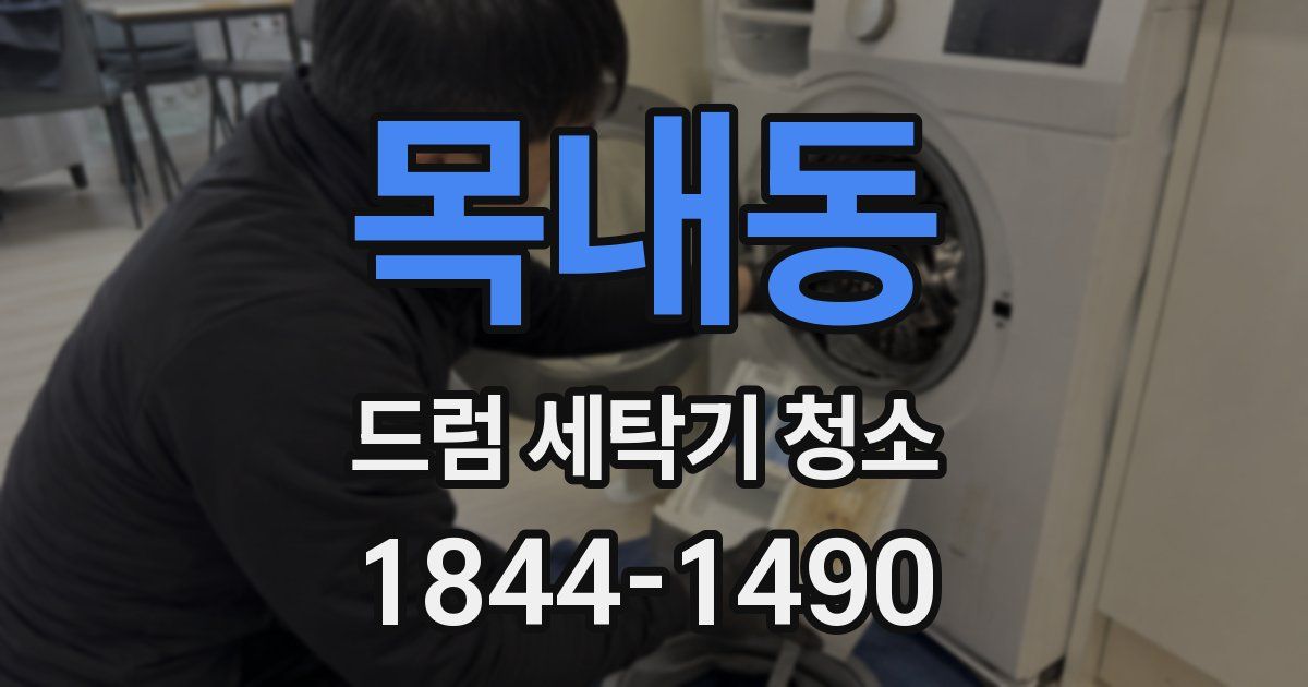 목내동 드럼 세탁기 청소