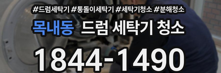 목내동 드럼 세탁기 청소