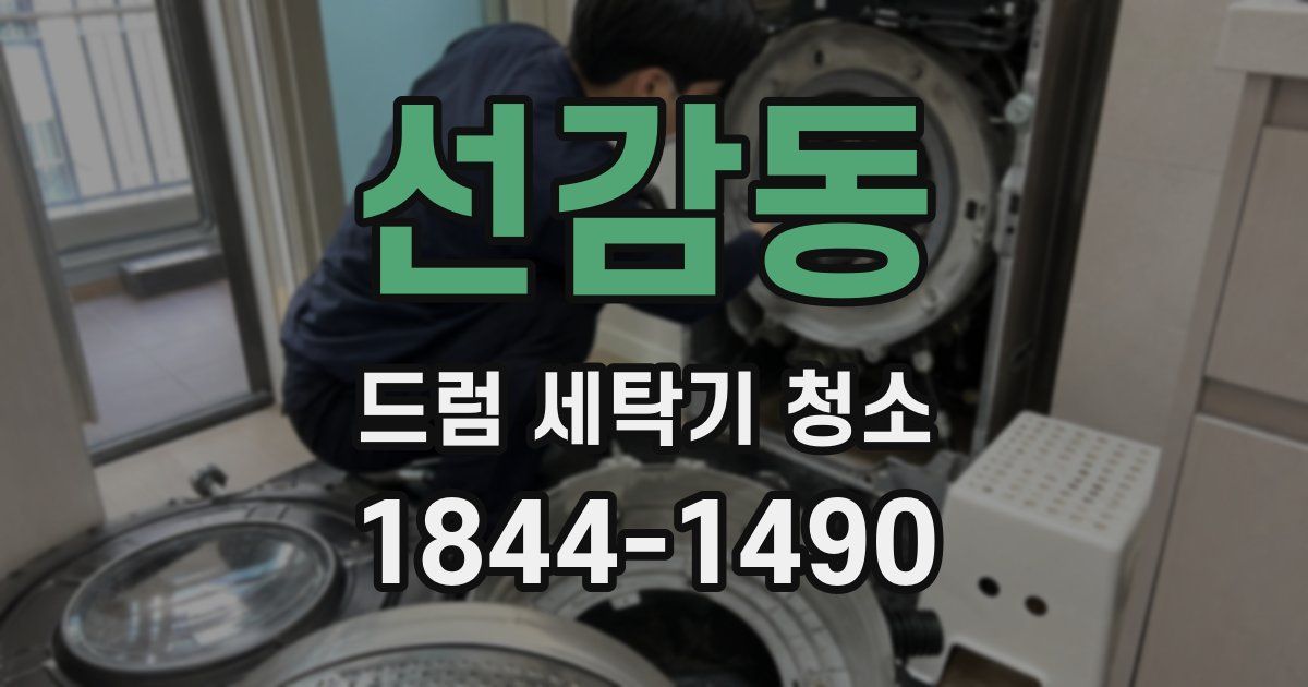 선감동 드럼 세탁기 청소