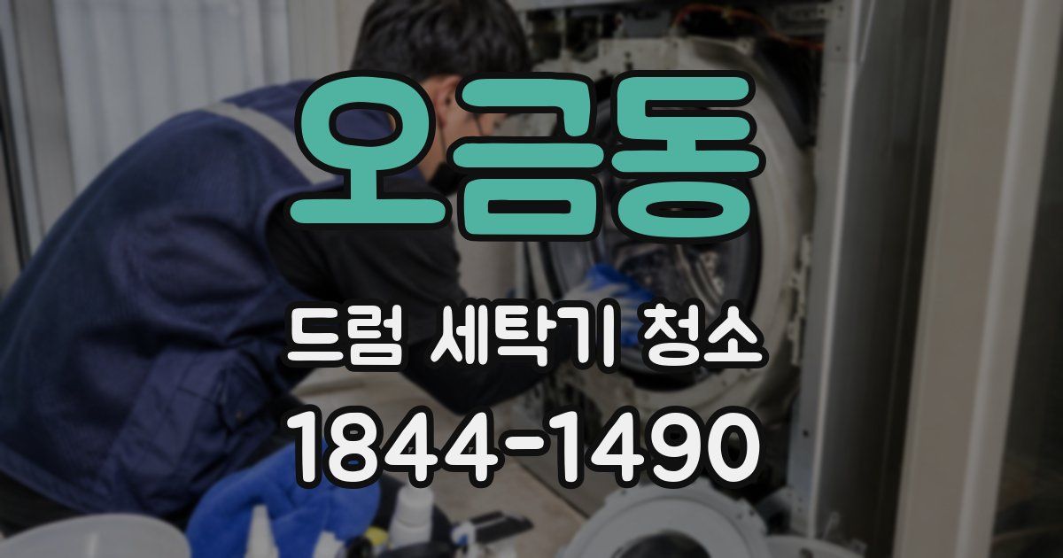 오금동 드럼 세탁기 청소