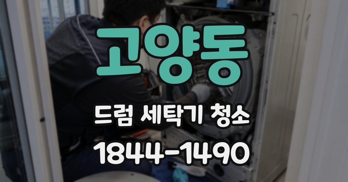 고양동 드럼 세탁기 청소