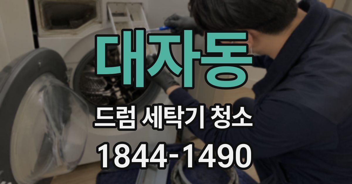 대자동 드럼 세탁기 청소