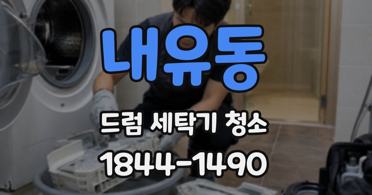 내유동 드럼 세탁기 청소