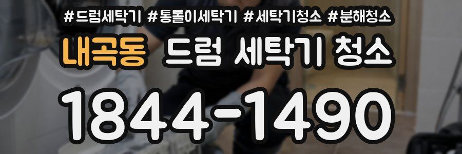 내곡동 드럼 세탁기 청소