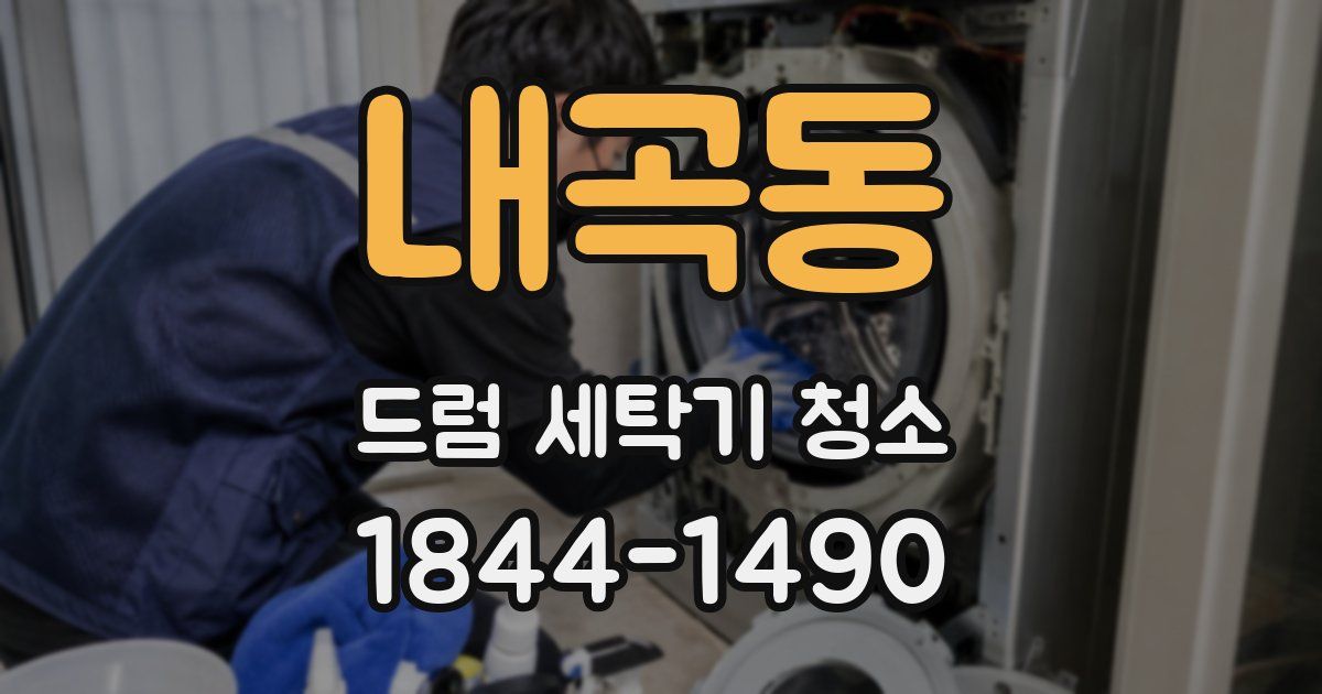 내곡동 드럼 세탁기 청소