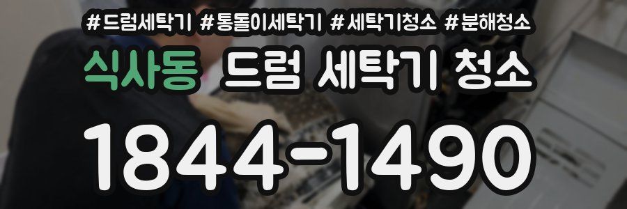 식사동 드럼 세탁기 청소