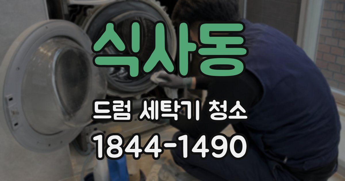 식사동 드럼 세탁기 청소