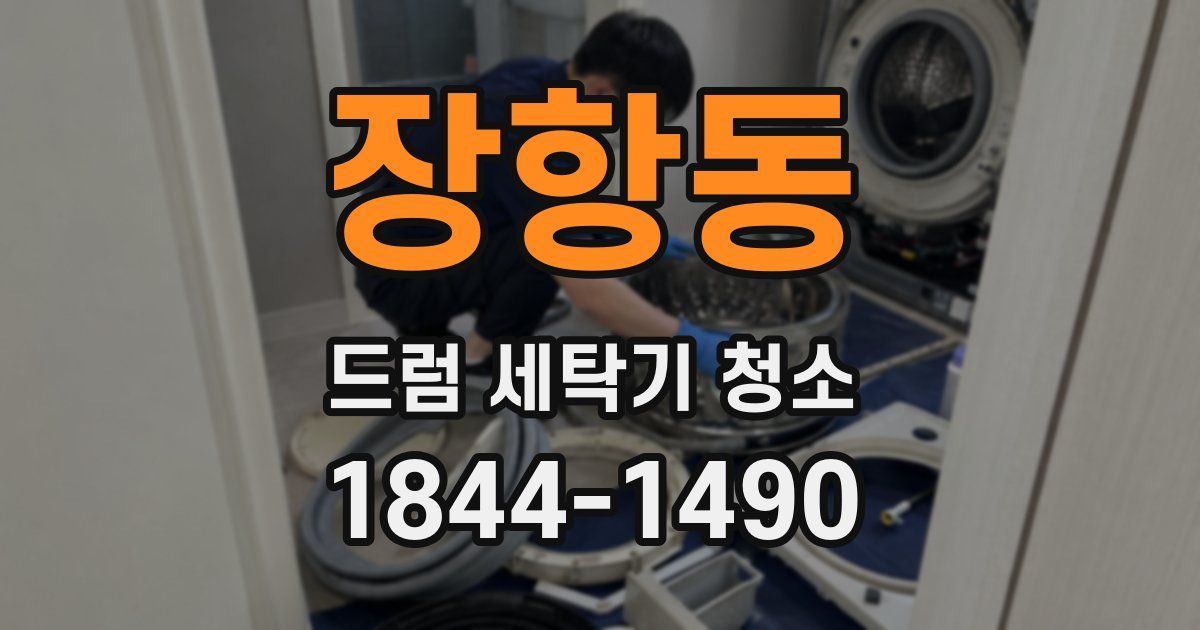 장항동 드럼 세탁기 청소