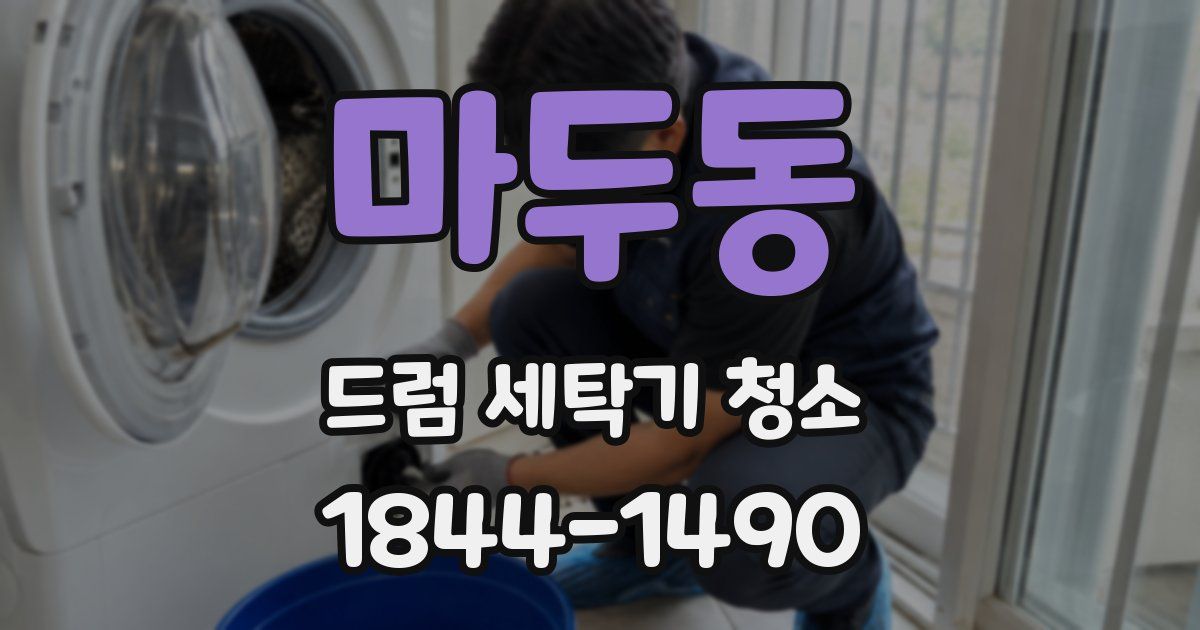 마두동 드럼 세탁기 청소