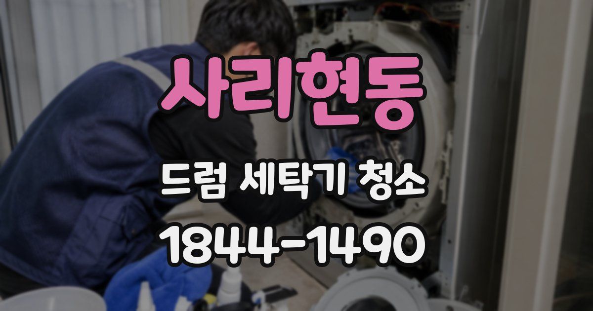 사리현동 드럼 세탁기 청소