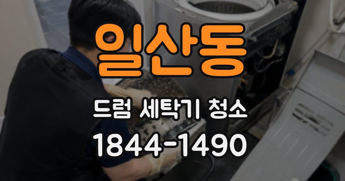 일산동 드럼 세탁기 청소